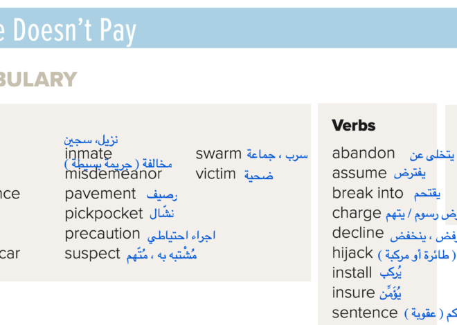 Mega Goal 2 : Crime Doesn’t Pay Vocabulary